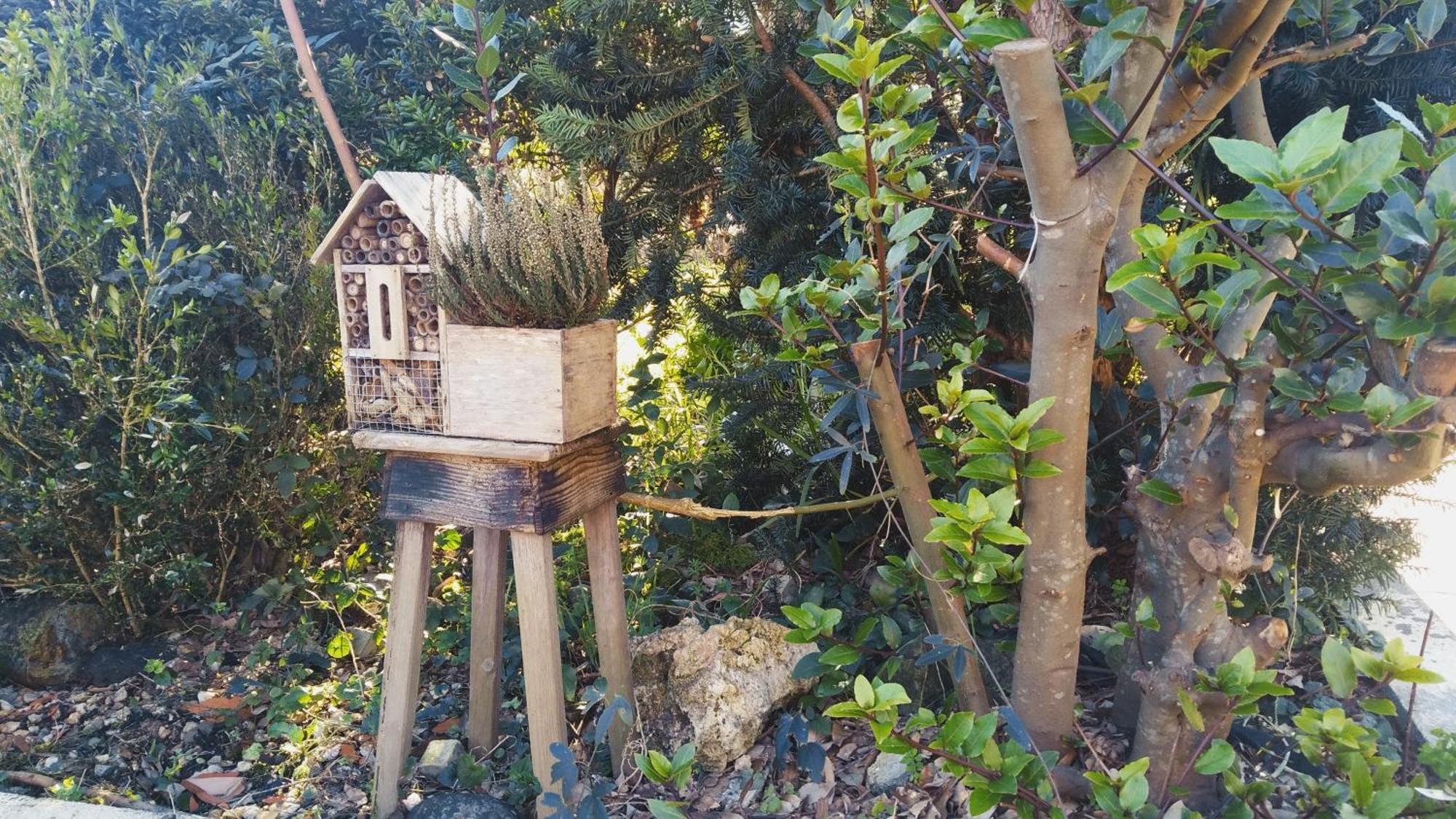 Villa Casa Iriana - Parking Gratis I Jardin I Barbacoa Ourense Esterno foto