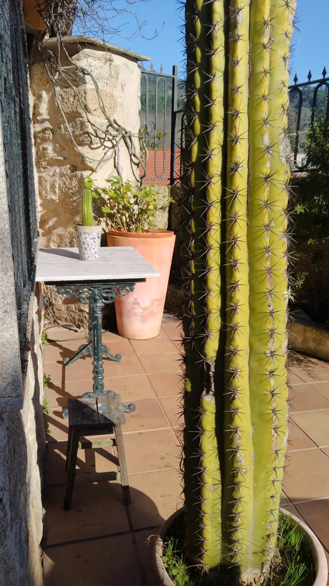 Villa Casa Iriana - Parking Gratis I Jardin I Barbacoa Ourense Esterno foto